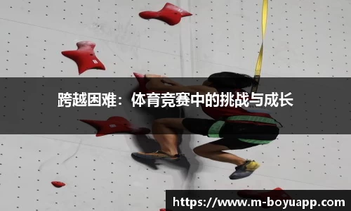 博鱼体育app